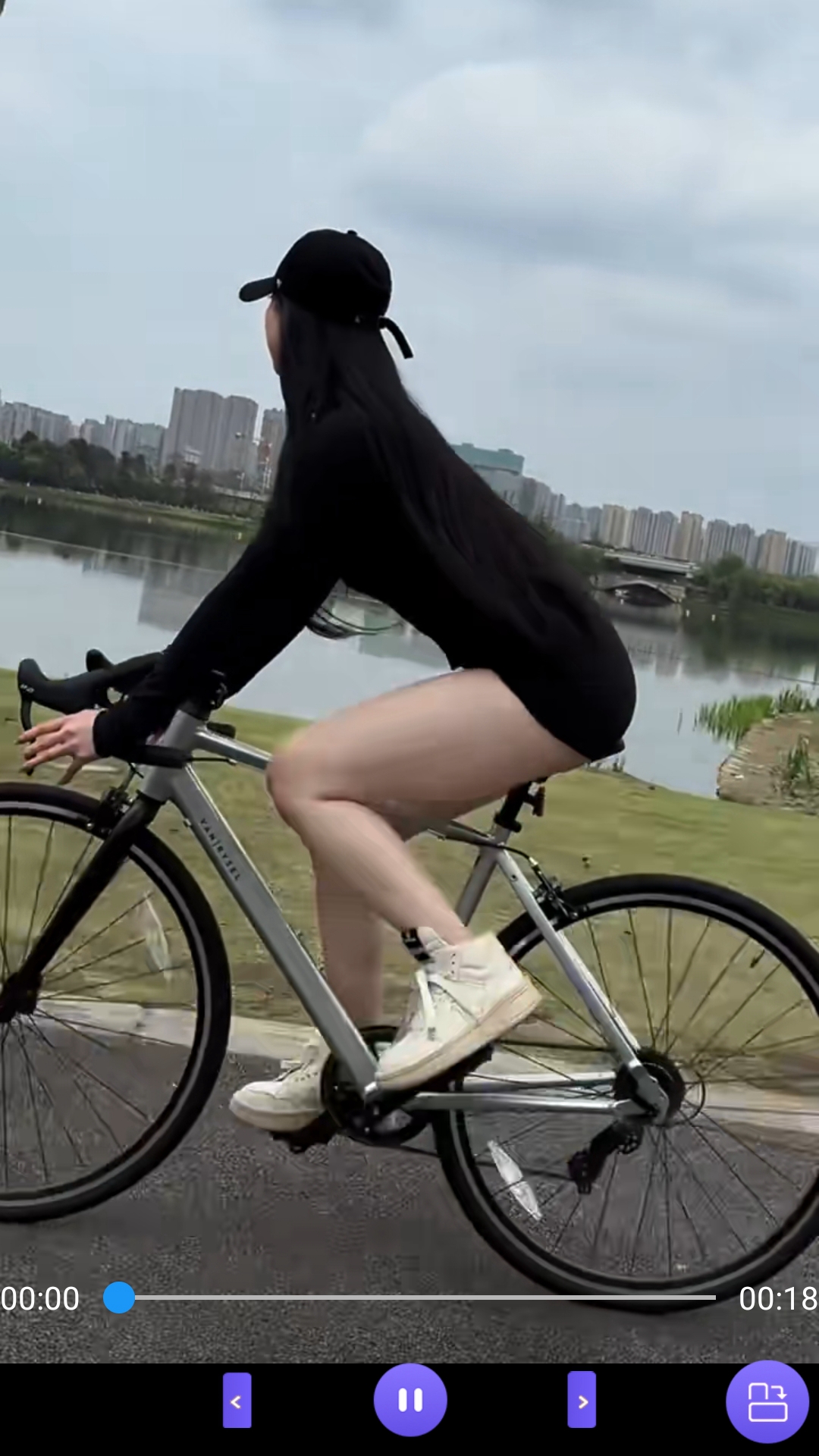 理想者四种人格截图